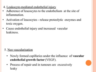 4. Leukocyte-mediated endothelial injury
• Adherence of leucocytes to the endothelium at the site of
inflammation.
• Activation of leucocytes - release proteolytic enzymes and
toxic oxygen.
• Cause endothelial injury and increased vascular
leakiness.
• Newly formed capillaries under the influence of vascular
endothelial growth factor (VEGF).
• Process of repair and in tumours are excessively
leaky
5. Neo vascularisation
 