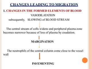 CHANGES LEADING TO MIGRATION
1. CHANGES IN THE FORMED ELEMENTS OF BLOOD
VASODILATATION
subsequently, SLOWING of BLOOD STREAM
The central stream of cells widens and peripheral plasma zone
becomes narrower because of loss of plasma by exudation.
MARGINATION
The neutrophils of the central column come close to the vessel
wall
PAVEMENTING
 