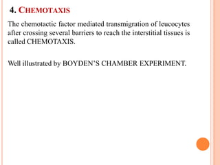 4. CHEMOTAXIS
The chemotactic factor mediated transmigration of leucocytes
after crossing several barriers to reach the interstitial tissues is
called CHEMOTAXIS.
Well illustrated by BOYDEN’S CHAMBER EXPERIMENT.
 