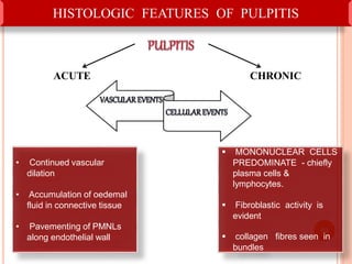 HISTOLOGIC FEATURES OF PULPITIS
ACUTE CHRONIC
60
 MONONUCLEAR CELLS
PREDOMINATE - chiefly
plasma cells &
lymphocytes.
 Fibroblastic activity is
evident
 collagen fibres seen in
bundles
• Continued vascular
dilation
• Accumulation of oedemal
fluid in connective tissue
• Pavementing of PMNLs
along endothelial wall
 