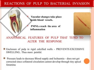 • Inflammation of periodontal ligament around root apex..
Changes localised around root
apex…..since richly vascular.
Vasc...