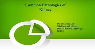 Common Pathologies of
Kidney
Dr.Israt Zaman Akhi
MD(Phase A) Resident
Dept. of Pediatric Nephrology
NIKDU
 