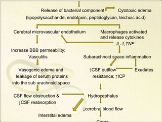 Release of bacterial component Cytotoxic edema
(lipopolysaccharide, endotoxin, peptidoglycan, teichoic acid)
Cerebral microvascular endothelium Macrophages activated
and release cytokines
IL-1,TNF
Increase BBB permeability;
Vasculitis Subarachnoid space inflammation
Vasogenic edema and ↑CSF outflow Exudates
leakage of serum proteins resistance; ↑ICP
into the sub arachnoid space
CSF flow obstruction & Hydrocephalus
↓CSF reabsorption
↓cerebral blood flow
Interstital edema
 