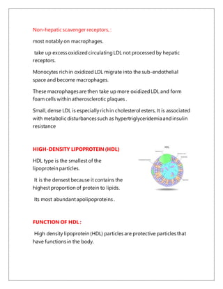 Non-hepatic scavenger receptors, :
most notably on macrophages.
take up excess oxidizedcirculatingLDL not processed by hepatic
receptors.
Monocytes rich in oxidizedLDL migrate into the sub-endothelial
space and become macrophages.
These macrophages are then take up more oxidizedLDL and form
foam cells within atherosclerotic plaques .
Small, dense LDL is especiallyrich in cholesterol esters, It is associated
with metabolic disturbances such as hypertriglyceridemiaandinsulin
resistance
HIGH-DENSITY LIPOPROTEIN (HDL)
HDL type is the smallest of the
lipoprotein particles.
It is the densest because it contains the
highest proportion of protein to lipids.
Its most abundantapolipoproteins .
FUNCTION OF HDL :
High density lipoprotein (HDL) particles are protective particles that
have functions in the body.
 