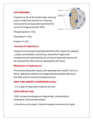 CHYLOMICRON
Chylomicron (fromthe Greek chylø, meaning
juice or milky fluid, and micron, meaning
small particle) are lipoprotein particles that
consist of Triglycerides (85–92%),
Phospholipids (6–12%),
Cholesterol (1–3%),
Proteins (1–2%).
Function of chylomicron
Chylomicrons transportlipids absorbed from the intestine to adipose
, cardiac, and skeletal muscle tissue, where their triglyceride
components are hydrolyzedby the activityof lipoprotein lipase and
the releasedfree fatty acids are absorbed by the tissue.
Metabolism of chylomicron :
The enzyme lipoprotein lipase, with apolipoprotein (apo)C-II as a co-
factor, hydrolyzes chylomicron triglyceride allowingthe deliveryof
free fatty acids to muscle and adipose tissue.
VERY-LOW-DENSITY LIPOPROTEIN (VLDL)
-It is a type of lipoprotein made by the liver.
FUNCTION OF VLDL
VLDL transports endogenous triglycerides , phospholipids,
cholesterol, and cholesteryl esters.
It functions as the body's internal transportmechanismfor lipids.
 