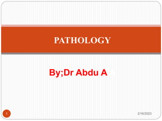 2/16/2023
1
PATHOLOGY
By;Dr Abdu A A
 