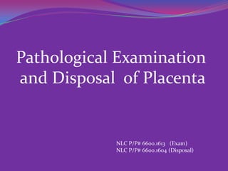 Pathological Examination
and Disposal of Placenta


            NLC P/P# 6600.1613 (Exam)
            NLC P/P# 6600.1604 (Disposal)
 