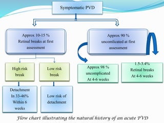 Symptomatic PVD 
Approx 10-15 % 
Retinal breaks at first 
assessment 
Approx 90 % 
uncomlicated at first 
assessment 
High risk 
break 
Low risk 
break 
Low risk of 
detachment 
Approx 98 % 
uncomplicated 
At 4-6 weeks 
1.5-3.4% 
Retinal breaks 
At 4-6 weeks 
Detachment 
In 33-46% 
Within 6 
weeks 
Flow chart illustrating the natural history of an acute PVD 
 