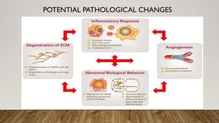 POTENTIAL PATHOLOGICAL CHANGES
 