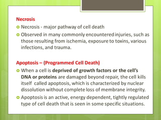 Necrosis
 Necrosis - major pathway of cell death
 Observed in many commonly encounteredinjuries, such as
those resulting from ischemia, exposure to toxins, various
infections, and trauma.
Apoptosis – (Programmed Cell Death)
 When a cell is deprived of growth factors or the cell’s
DNA or proteins are damaged beyond repair, the cell kills
itself called apoptosis, which is characterized by nuclear
dissolution without complete loss of membrane integrity.
 Apoptosis is an active, energy dependent, tightly regulated
type of cell death that is seen in some specific situations.
 