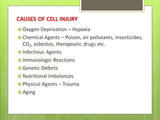 CAUSES OF CELL INJURY
 Oxygen Deprivation – Hypoxia
 Chemical Agents – Poison, air pollutants, insecticides,
CO2, asbestos, therapeutic drugs etc.
 Infectious Agents
 Immunologic Reactions
 Genetic Defects
 Nutritional Imbalances
 Physical Agents – Trauma
 Aging
 