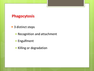 Phagocytosis
 3 distinct steps
 Recognition and attachment
 Engulfment
 Killing or degradation
 