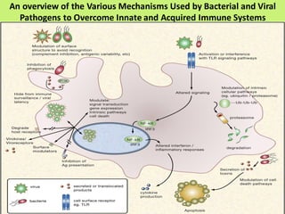 An overview of the Various Mechanisms Used by Bacterial and Viral
Pathogens to Overcome Innate and Acquired Immune Systems
 