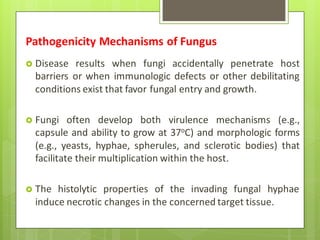  Disease results when fungi accidentally penetrate host
barriers or when immunologic defects or other debilitating
conditions exist that favor fungal entry and growth.
 Fungi often develop both virulence mechanisms (e.g.,
capsule and ability to grow at 37oC) and morphologic forms
(e.g., yeasts, hyphae, spherules, and sclerotic bodies) that
facilitate their multiplication within the host.
 The histolytic properties of the invading fungal hyphae
induce necrotic changes in the concerned target tissue.
Pathogenicity Mechanisms of Fungus
 
