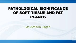 PATHOLOGICAL SIGNIFICANCE
OF SOFT TISSUE AND FAT
PLANES
 