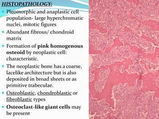 Orthopedic Pathologic specimen & Histology | PDF