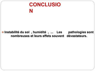 CONCLUSIO
N
 Instabilité du sol , humidité , ... Les pathologies sont
nombreuses et leurs effets souvent dévastateurs.
 