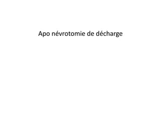 Apo névrotomie de décharge
 