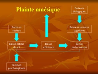 Facteurs 
      Plainte mnésique          biologiques




   Facteurs                   Baisse ressources 
   sociaux                        cognitives



Baisse estime      Baisse          Baisse 
    de soi       efficience    performances




   Facteurs 
psychologiques
 