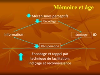 Mémoire et âge
               Mécanismes perceptifs
                       Encodage



Information                                  Stockage   ID

                      Récupération

                Encodage et rappel par 
               technique de facilitation: 
              indiçage et reconnaissance
 