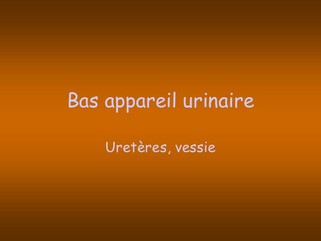 Pathologie de l_appareil_urinaire Pathologie de l_appareil_urinaire