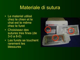 Materiale di sutura
• Le materiel utilisé
  chez le chien et le
  chat est le même
  chez le furet
• Choisissez des
  sutures tres fines (de
  3-0 a 8-0)
• Les furets se touchent
  rarement les
  blessures
 