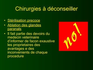 Chirurgies à déconseiller
• Stérilisation precoce
• Ablation des glandes
  paranals
• Il fait partie des devoirs du
  medecin veterinaire
  d’informer de facon exaustive
  les proprietaires des
  avantages e des
  inconvenients de chaque
  procedure
 