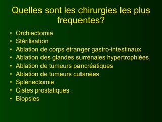 Quelles sont les chirurgies les plus
           frequentes?
•   Orchiectomie
•   Stérilisation
•   Ablation de corps étranger gastro-intestinaux
•   Ablation des glandes surrénales hypertrophiées
•   Ablation de tumeurs pancréatiques
•   Ablation de tumeurs cutanées
•   Splénectomie
•   Cistes prostatiques
•   Biopsies
 