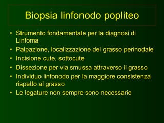 Biopsia linfonodo popliteo
• Strumento fondamentale per la diagnosi di
  Linfoma
• Palpazione, localizzazione del grasso perinodale
• Incisione cute, sottocute
• Dissezione per via smussa attraverso il grasso
• Individuo linfonodo per la maggiore consistenza
  rispetto al grasso
• Le legature non sempre sono necessarie
 