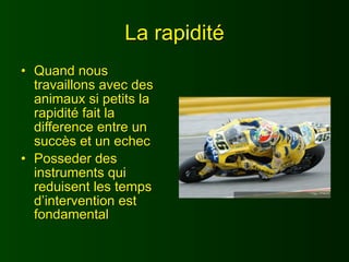La rapidité
• Quand nous
  travaillons avec des
  animaux si petits la
  rapidité fait la
  difference entre un
  succès et un echec
• Posseder des
  instruments qui
  reduisent les temps
  d’intervention est
  fondamental
 