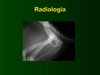 Radiologia
 