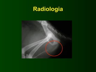 Radiologia
 