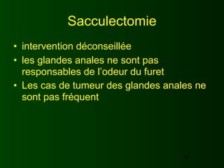 Sacculectomie
• intervention déconseillée
• les glandes anales ne sont pas
  responsables de l’odeur du furet
• Les cas de tumeur des glandes anales ne
  sont pas fréquent




                                    50
 