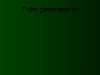 Tratto gastroenterico




                        55
 