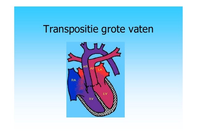 Pathologie hart bloedvaten