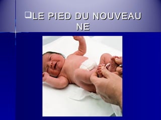 LLEE PPIIEEDD DDUU NNOOUUVVEEAAUU 
NNEE 
 