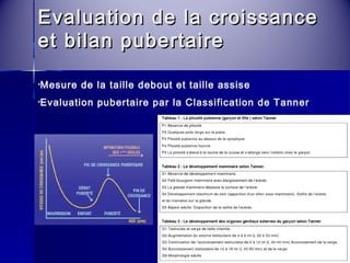 Evaluation ddee llaa ccrrooiissssaannccee 
eett bbiillaann ppuubbeerrttaaiirree 
•Mesure de la taille debout et taille assise 
•Evaluation pubertaire par la Classification de Tanner 
 