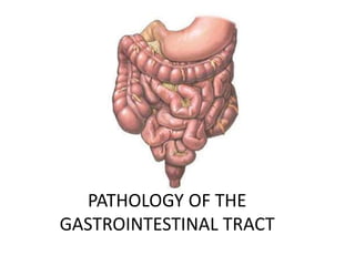 PATHOLOGY OF THE
GASTROINTESTINAL TRACT
 