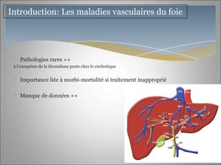 Introduction: Les maladies vasculaires du foie




    Pathologies rares ++
 à l’exception de la thrombose porte chez le cirrhotique


    Importance liée à morbi-mortalité si traitement inapproprié

    Manque de données ++
 