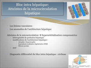 Bloc intra hépatique:
Atteintes de la microcirculation
           hépatique


  Les lésions vasculaires
  Les anomalies de l’architecture hépatique

Atteintes de la microcirculation  hyperartérialisation compensatrice
     hétérogénéité de perfusion hépatique
     modifications de l’architecture hépatique :
           Atrophie /hypertrophie
           hyperplasie nodulaire régénérative HNR
           fibrose portale
     HTP


  Diagnostic différentiel du bloc intra hépatique : cirrhose
 