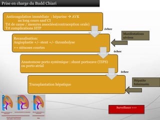 Prise en charge du Budd Chiari


  Anticoagulation immédiate : héparine  AVK
          au long cours sauf CI
  Trt de cause / mesures associées(contraception orale)
  Trt complications HTP                                     échec
                                                                            Manifestations
       Recanalisation:                                                      sévères
       Angioplastie +/- stent +/- thrombolyse
       ++ sténoses courtes
                                                                    échec



           Anastomose porto systémique : shunt portocave (TIPS)
           ou porto atrial
                                                                        échec


                                                                                   Hépatite
                Transplantation hépatique                                          fulminante




                                                                     Surveillance +++
 