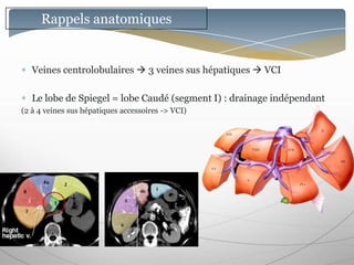 Rappels anatomiques


   Veines centrolobulaires  3 veines sus hépatiques  VCI

   Le lobe de Spiegel = lobe Caudé (segment I) : drainage indépendant
(2 à 4 veines sus hépatiques accessoires -> VCI)
 