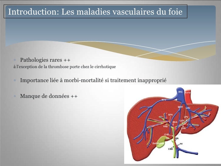 A coupé la veine sur le pied que faire