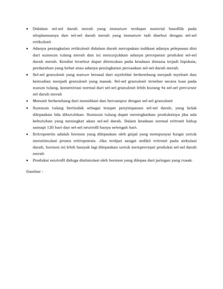 • Didalam sel-sel darah merah yang immature terdapat material basofilik pada
sitoplasmanya dan sel-sel darah merah yang immature tadi disebut dengan sel-sel
retikulosit
• Adanya peningkatan retikulosit didalam darah merupakan indikasi adanya pelepasan dini
dari sumsum tulang merah dan ini menunjukkan adanya percepatan produksi sel-sel
darah merah. Kondisi tersebut dapat ditemukan pada keadaan dimana terjadi hipoksia,
perdarahan yang hebat atau adanya peningkatan perusakan sel-sel darah merah.
• Sel-sel granulosit yang mature berasal dari myeloblat berkembang menjadi myelosit dan
kemudian menjadi granulosit yang masak. Sel-sel granulosit tersebar secara luas pada
susum tulang, konsentrasi normal dari sel-sel granulosit lebih kurang 4x sel-sel precursor
sel darah merah
• Monosit berkembang dari monoblast dan bercampur dengan sel-sel granulosit
• Sumsum tulang bertindak sebagai tempat penyimpanan sel-sel darah, yang kelak
dilepaskan bila dibutuhkan. Sumsum tulang dapat meningkatkan produksinya jika ada
kebutuhan yang meningkat akan sel-sel darah. Dalam keadaan normal eritrosit hidup
samapi 120 hari dan sel-sel neutrofil hanya setengah hari.
• Eritropoietin adalah hormon yang dilepaskan oleh ginjal yang mempunyai fungsi untuk
menstimulasi proses eritropoiesis. Jika terdpat sangat sedikit eritrosit pada sirkulasi
darah, hormon ini lebih banyak lagi dilepaskan untuk mempercepat produksi sel-sel darah
merah
• Produksi neutrofil diduga distimulasi oleh hormon yang dilepas dari jaringan yang rusak.
Gambar :
 