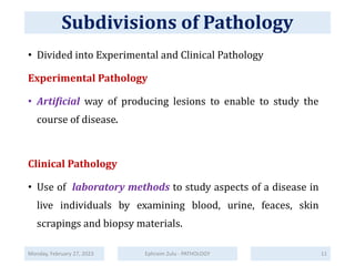 PATHOLOGY - 01 - Fundermentals of Pathology.pdf