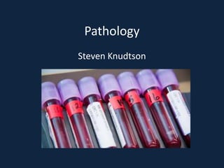 Pathology Steven Knudtson 