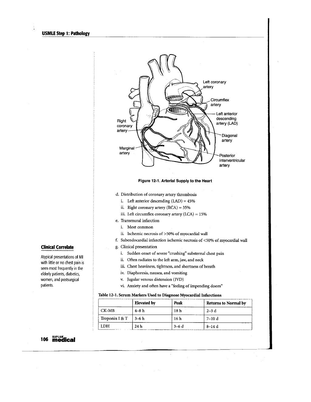 pathology definition pathology definition