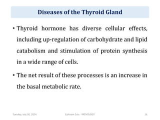 • Thyroid hormone has diverse cellular effects,
including up-regulation of carbohydrate and lipid
catabolism and stimulation of protein synthesis
in a wide range of cells.
• The net result of these processes is an increase in
the basal metabolic rate.
Tuesday, July 30, 2024 Ephraim Zulu - PATHOLOGY 16
Diseases of the Thyroid Gland
 