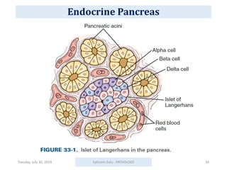 Tuesday, July 30, 2024 Ephraim Zulu - PATHOLOGY 34
Endocrine Pancreas
 
