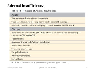 Adrenal Insufficiency.,
Tuesday, July 30, 2024 Ephraim Zulu - PATHOLOGY 61
 
